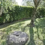Del Dottore Villa *
